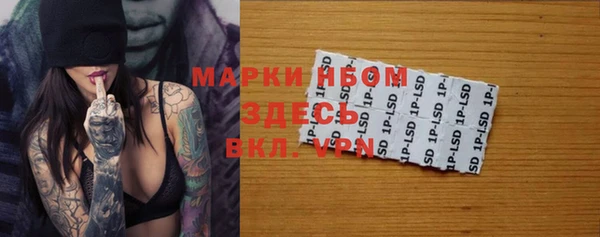 дмт Белокуриха