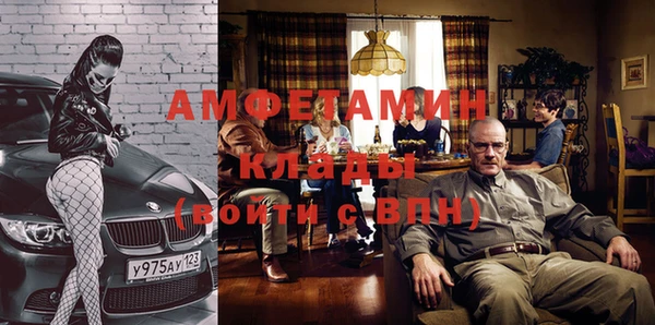 шишки Беломорск