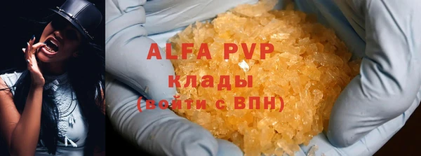 шишки Беломорск