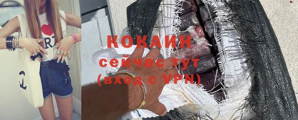 шишки Беломорск