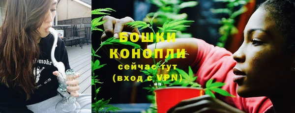 шишки Беломорск