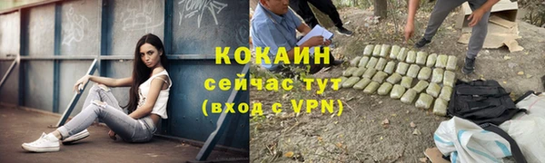 шишки Беломорск