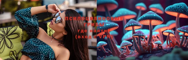шишки Беломорск