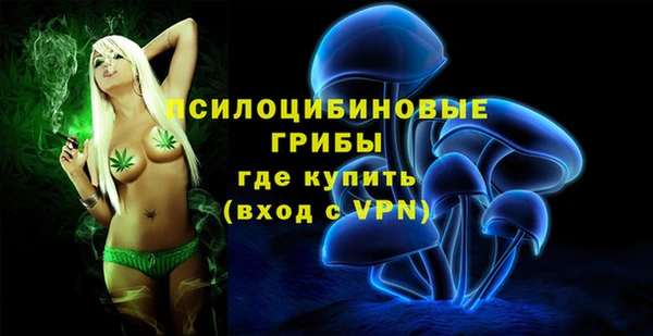 дмт Белокуриха