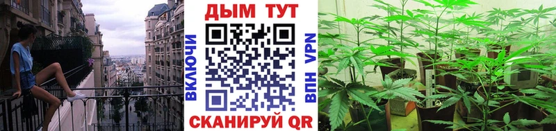 Бошки Шишки Amnesia Купить закладки Кукмор